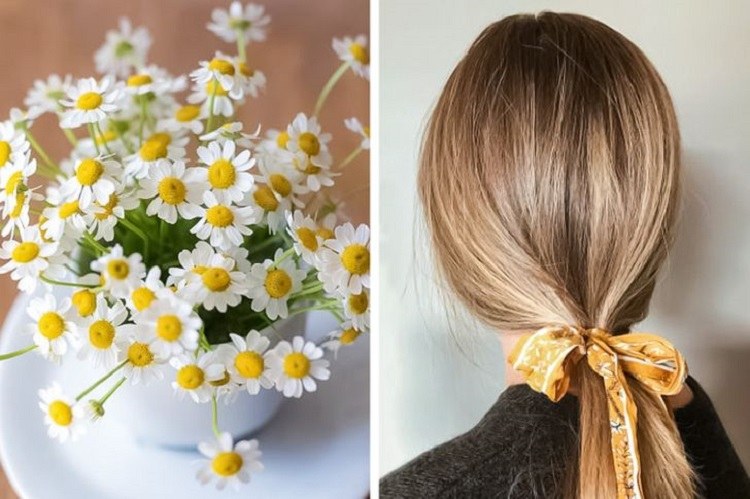 ingrediente natural manzanilla para aclarar el cabello castaño de forma natural y rápida
