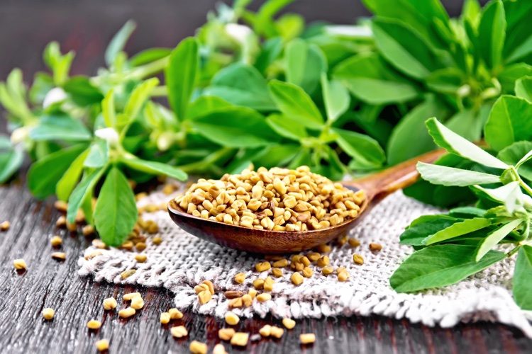 Semillas de fenogreco para eliminar la caspa Mascarilla para cabello graso