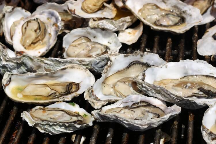 Alimentos para el crecimiento del cabello de ostras de zinc