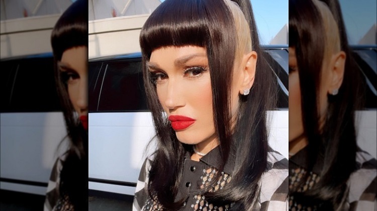 Pelo Cruella: la moda relevante que merece tu interés 5 - 【MioEstilo】 El look de pelo Cruella de Gwen Stefani