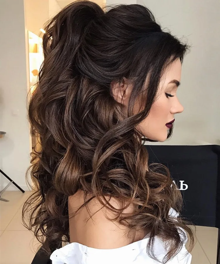 melena rizada coleta alta