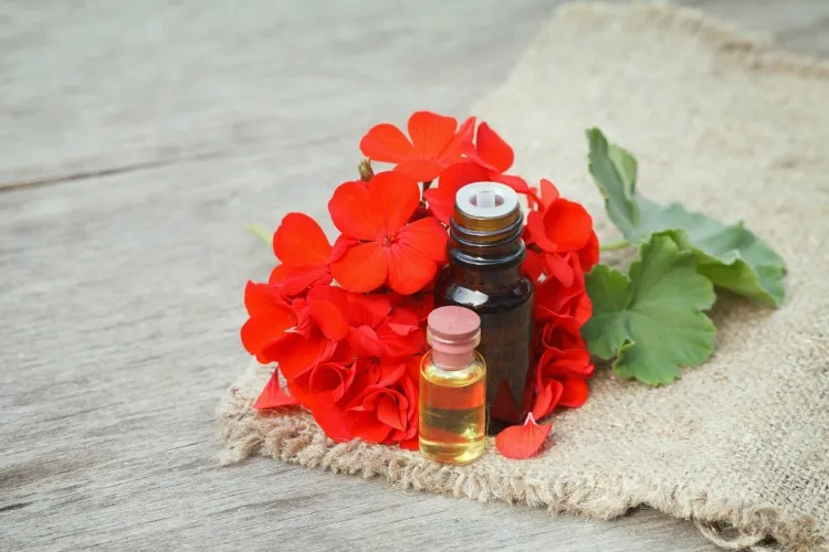 aceite de geranio para estimular el desarrollo capilar