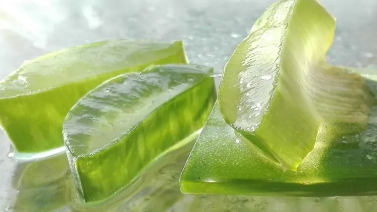 mascarilla casera huevos miel yogur aloe vera platano aguacate