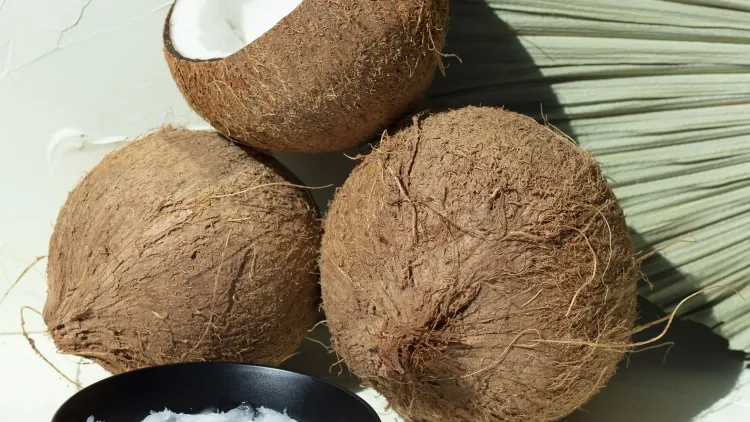 remedio natural para el cabello previene la rotura del frizz en las puntas abiertas