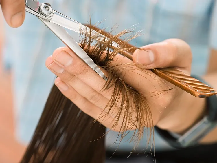 ¿Con qué periodicidad es recomendable cortarse el pelo? ¡Aquí te lo explicamos! 3 - 【MioEstilo】 con qué frecuencia cortar las puntas del cabello rizado