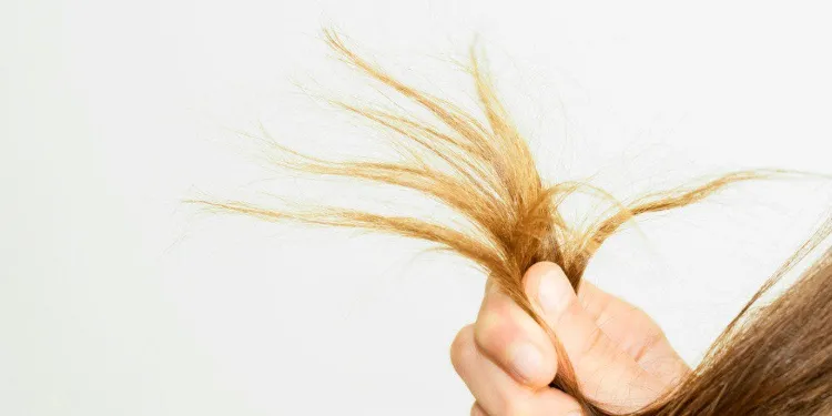 raíces grasas puntas secas qué hacer para restablecer el equilibrio del cabello