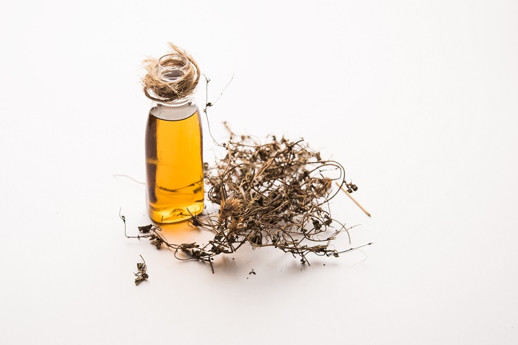Beneficios y uso del aceite de Eclipta Prostrata