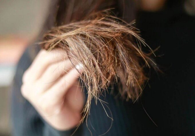 cheveux fourchus causes solutions information conseils et astuces