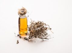 lhuile de Bhringraj bienfaits et utilisation