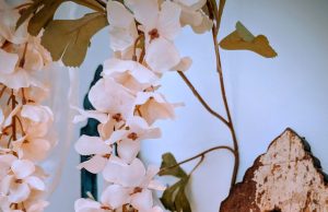 MioEstilo - Moda, tendencia y estilo de la mano de expertos - 2026